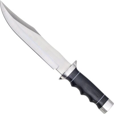 Outlaw Bowie