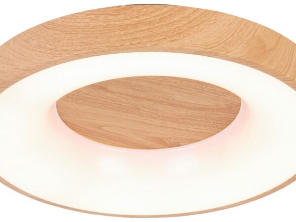 LED lubų šviestuvas Luzia maks. 30 W