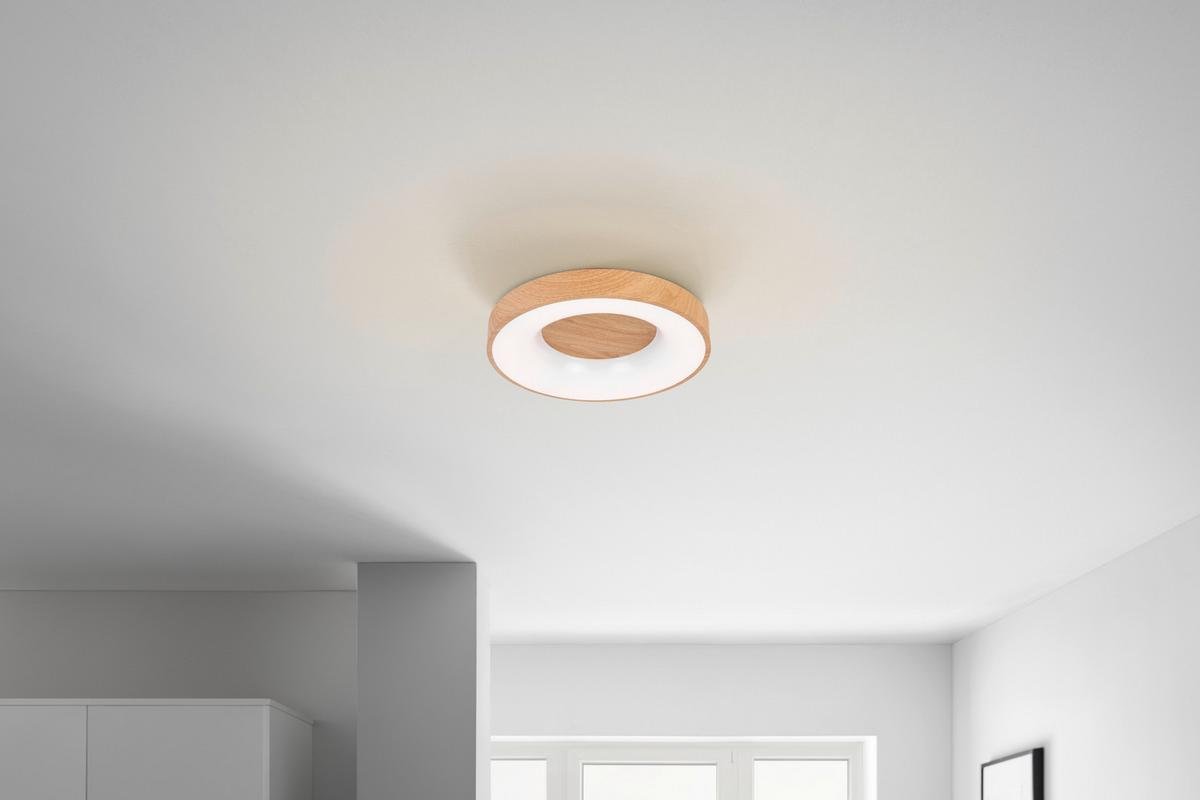 LED lubų šviestuvas Luzia maks. 30 W - Image 2